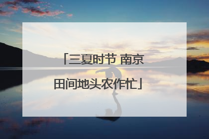 三夏时节 南京田间地头农作忙