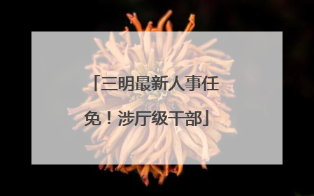 三明最新人事任免！涉厅级干部