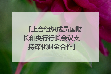 上合组织成员国财长和央行行长会议支持深化财金合作