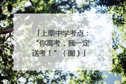 上栗中学考点：“你高考，我一定送考！”（图）