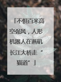 不惧百米高空强风，人形机器人在燕矶长江大桥走“猫道”