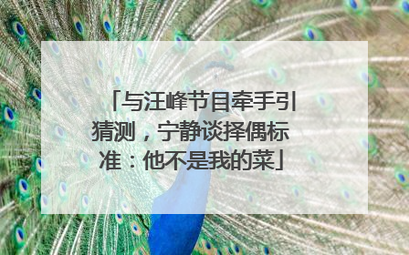 与汪峰节目牵手引猜测，宁静谈择偶标准：他不是我的菜