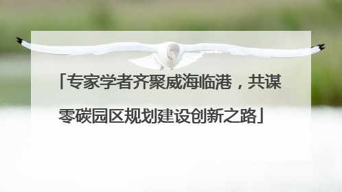 专家学者齐聚威海临港，共谋零碳园区规划建设创新之路