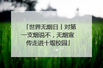 世界无烟日丨对第一支烟说不，无烟宣传走进十堰校园