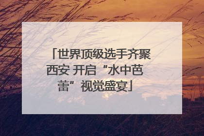 世界顶级选手齐聚西安 开启“水中芭蕾”视觉盛宴