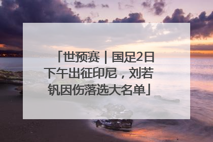 世预赛｜国足2日下午出征印尼，刘若钒因伤落选大名单