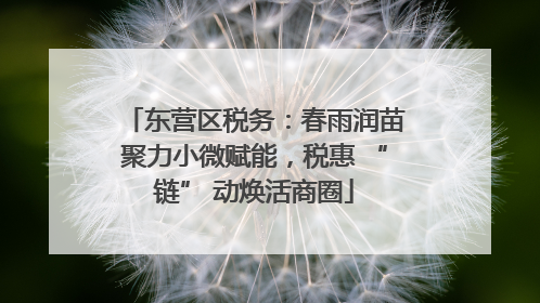 东营区税务：春雨润苗聚力小微赋能，税惠 “链” 动焕活商圈