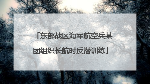 东部战区海军航空兵某团组织长航时反潜训练
