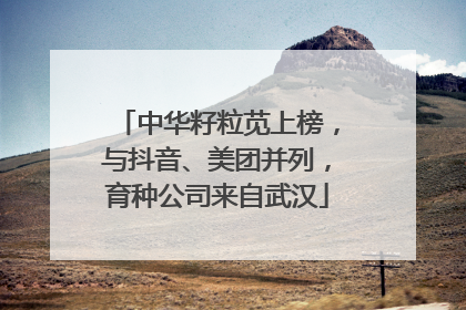 中华籽粒苋上榜，与抖音、美团并列，育种公司来自武汉
