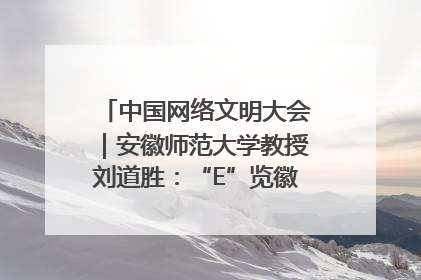 中国网络文明大会｜安徽师范大学教授刘道胜：“E”览徽风，构筑中华民族共有精神家园