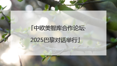中欧美智库合作论坛·2025巴黎对话举行