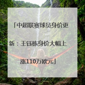 中超联赛球员身价更新：王钰栋身价大幅上涨110万欧元