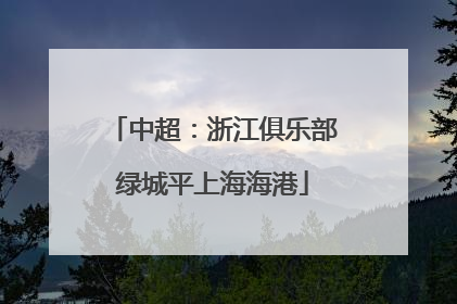 中超：浙江俱乐部绿城平上海海港