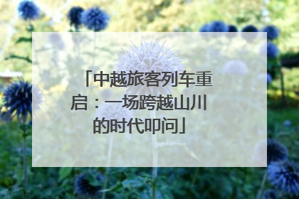 中越旅客列车重启：一场跨越山川的时代叩问