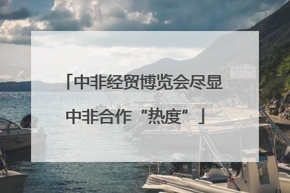 中非经贸博览会尽显中非合作“热度”