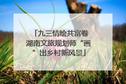 九三情绘共富卷 湖南文旅规划师“画”出乡村新风景