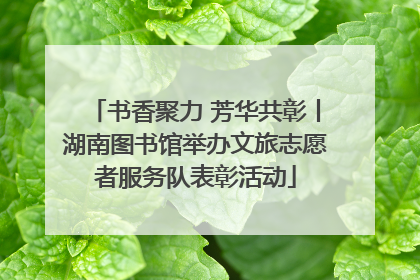 书香聚力 芳华共彰丨湖南图书馆举办文旅志愿者服务队表彰活动