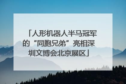 人形机器人半马冠军的“同胞兄弟”亮相深圳文博会北京展区