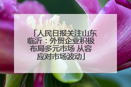 人民日报关注山东临沂：外贸企业积极布局多元市场 从容应对市场波动