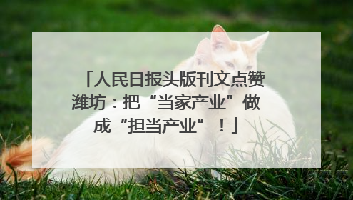 人民日报头版刊文点赞潍坊：把“当家产业”做成“担当产业”！