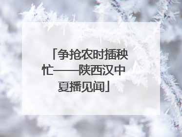 争抢农时插秧忙——陕西汉中夏播见闻