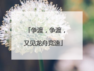 争渡，争渡，又见龙舟竞速