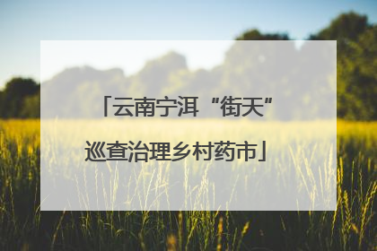 云南宁洱“街天”巡查治理乡村药市