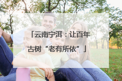 云南宁洱：让百年古树“老有所依”