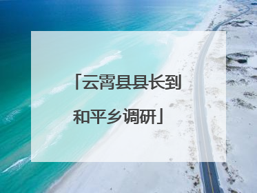 云霄县县长到和平乡调研