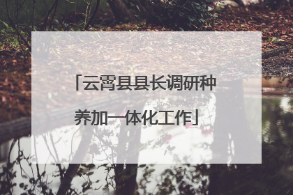 云霄县县长调研种养加一体化工作