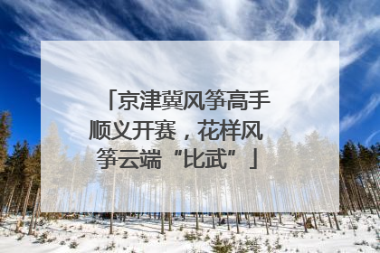 京津冀风筝高手顺义开赛，花样风筝云端“比武”