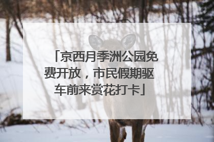 京西月季洲公园免费开放，市民假期驱车前来赏花打卡
