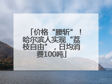 价格“腰斩”！哈尔滨人实现“荔枝自由”，日均消费100吨