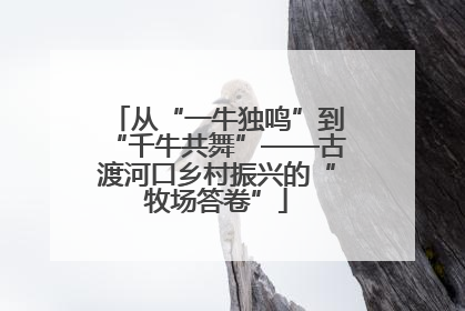 从“一牛独鸣”到“千牛共舞”——古渡河口乡村振兴的“牧场答卷”