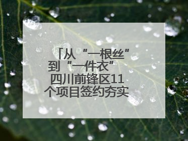 从“一根丝”到“一件衣” 四川前锋区11个项目签约夯实轻纺全产业链