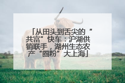 从田头到舌尖的“共富”快车：沪湖供销联手，湖州生态农产“圈粉”大上海