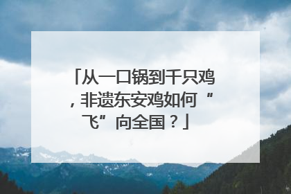 从一口锅到千只鸡，非遗东安鸡如何“飞”向全国？