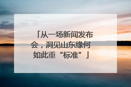 从一场新闻发布会，洞见山东缘何如此重“标准”