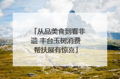 从品美食到看非遗 丰台玉树消费帮扶展有惊喜