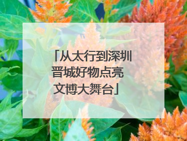 从太行到深圳 晋城好物点亮文博大舞台