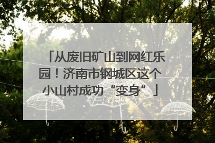 从废旧矿山到网红乐园！济南市钢城区这个小山村成功“变身”