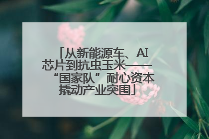 从新能源车、AI芯片到抗虫玉米——“国家队”耐心资本撬动产业突围