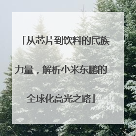 从芯片到饮料的民族力量，解析小米东鹏的全球化高光之路