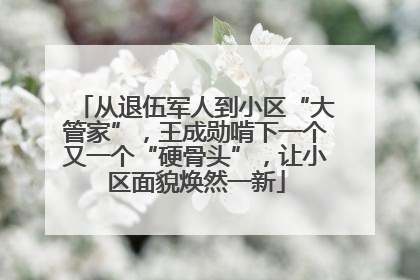 从退伍军人到小区“大管家”，王成勋啃下一个又一个“硬骨头”，让小区面貌焕然一新