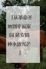 从革命圣地到幸福家园 延安精神永放光芒