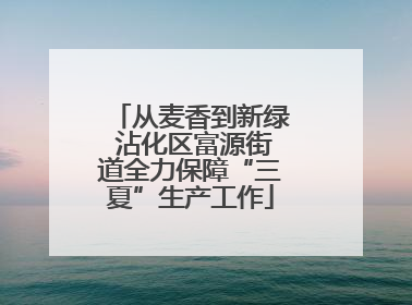 从麦香到新绿 沾化区富源街道全力保障“三夏”生产工作
