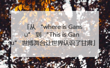 从 “where is Gansu” 到 “This is Gansu” 世博舞台让世界认识了甘肃