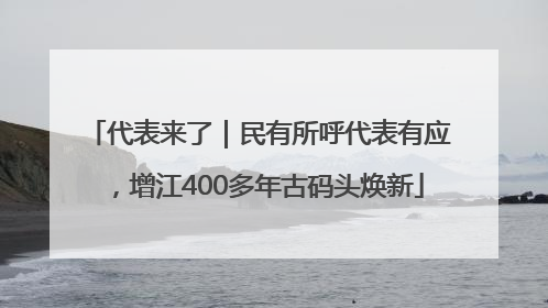 代表来了｜民有所呼代表有应，增江400多年古码头焕新