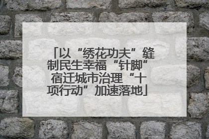 以“绣花功夫”缝制民生幸福“针脚” 宿迁城市治理“十项行动”加速落地
