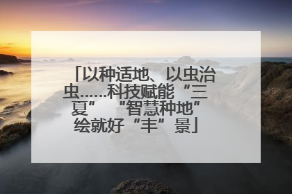 以种适地、以虫治虫……科技赋能“三夏” “智慧种地”绘就好“丰”景
